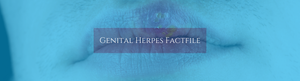 Genital Herpes Fact File