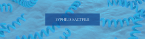 Syphilis Fact File